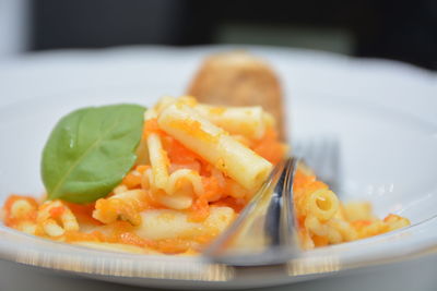 Close-up of food served in plate