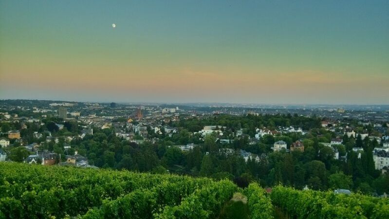 building exterior, architecture, cityscape, built structure, city, tree, high angle view, crowded, residential district, sky, residential building, landscape, residential structure, house, sunset, growth, town, nature, aerial view, outdoors