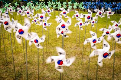 Korean flag windmills