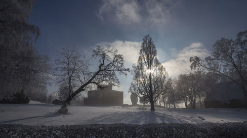 Bare trees on field against sky during winter