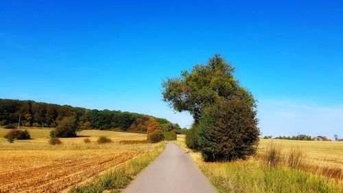 Empty road amidst trees on field against clear sky