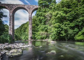 Bridge over river in forest against sky