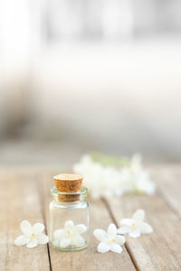 Close-up of white roses on table