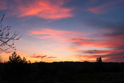 Scenic view of silhouette trees against sky during sunset