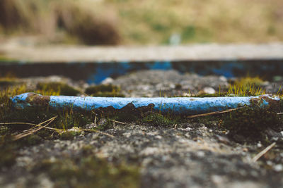 Surface level of wood on field