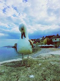 Seagull by sea against sky