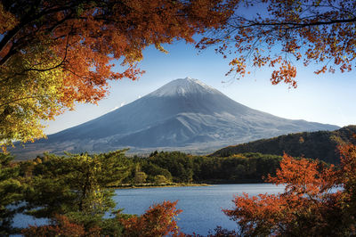 Scenic view of lake by trees during autumn