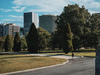 Trees in park