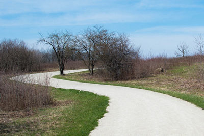Trees in park against sky