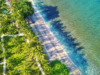 High angle view of palm trees by sea