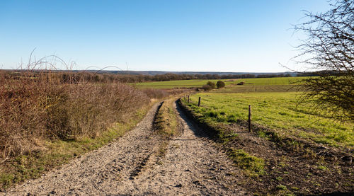 Dirt road amidst field against clear sky