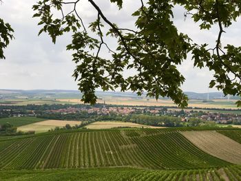 Scenic view of agricultural field against sky