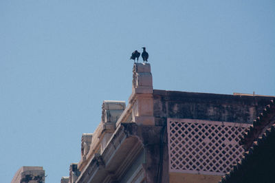 Low angle view of bird perching on building against clear sky