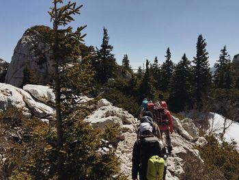 Rear view of people by trees against sky