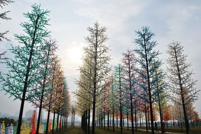 Decorated bare trees on field against sky