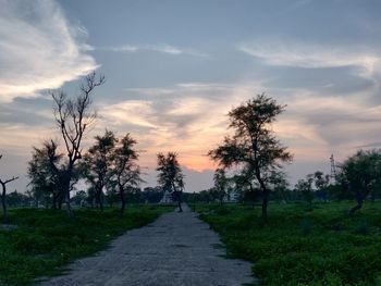 Road amidst trees against sky during sunset