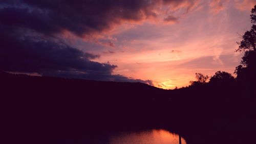 Silhouette of trees at sunset