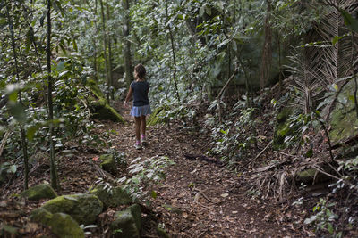 Rear view of woman walking in forest