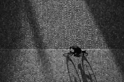 High angle view of bicycle on street