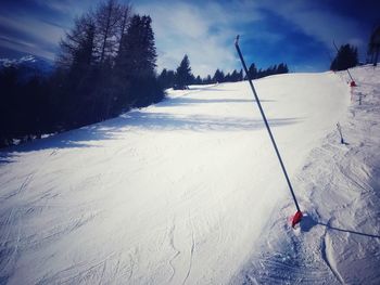 People skiing on snow covered land