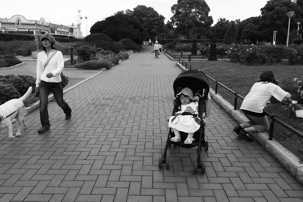 lifestyles, person, leisure activity, men, rear view, full length, casual clothing, cobblestone, walking, sitting, footpath, togetherness, chair, sunlight, day, outdoors, bench