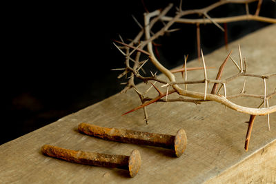 Close-up of food on table against black background