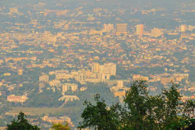 High angle view of trees and buildings in city