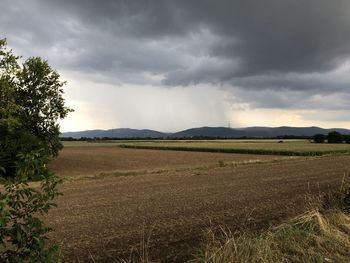 Scenic view of agricultural field against sky