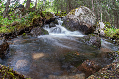 Stream flowing through rocks in forest