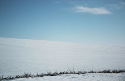 Scenic view of snowy field against clear blue sky