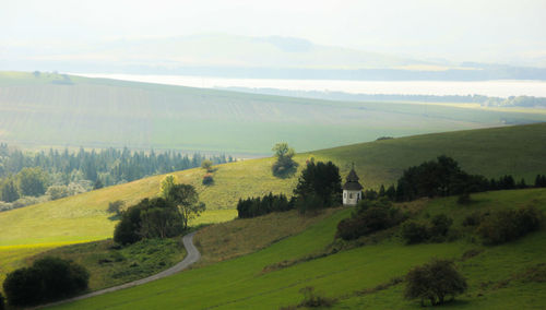 Tranquil view of green landscape