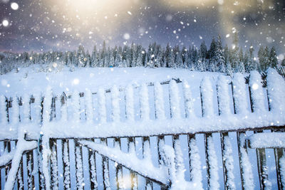 Panoramic shot of icicles on snow covered tree