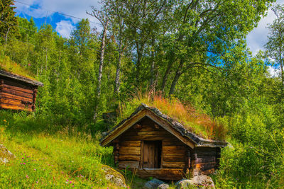 House amidst trees and plants in forest against sky