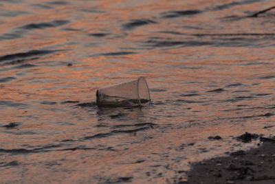 Close-up of wet umbrella on shore