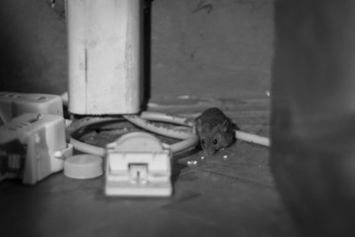 Close-up of abandoned home