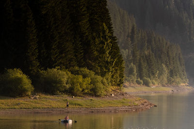 Scenic view of lake in forest