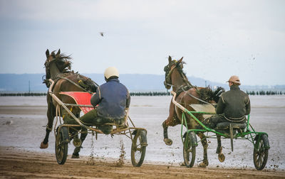 Rear view of men riding horse carts at beach