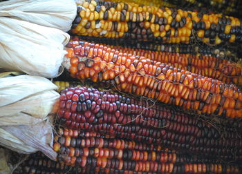 Close-up of indian corns in market during autumn