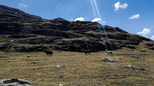 Panoramic view of rock on land against sky