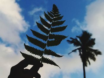Low angle view of silhouette palm tree against sky