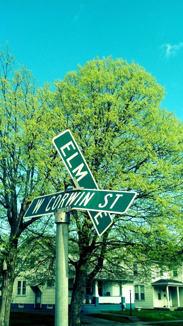 tree, low angle view, built structure, architecture, building exterior, branch, growth, text, clear sky, blue, communication, western script, street light, sky, road sign, sunlight, day, outdoors, information sign, nature