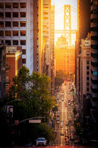 Buildings in city