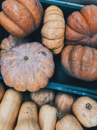 High angle view of pumpkins for sale at market stall