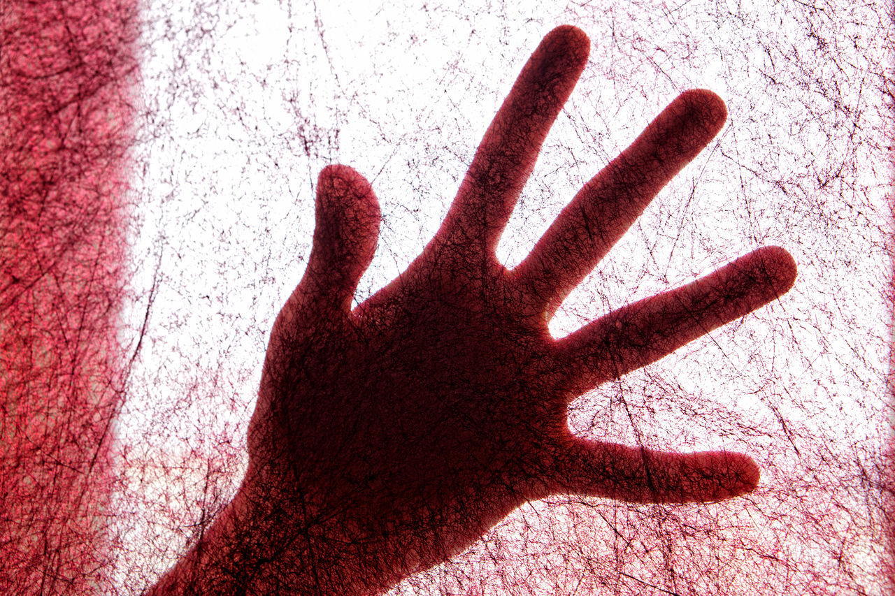 CLOSE-UP OF HUMAN HAND WITH SHADOW ON RED BACKGROUND