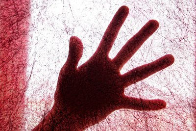 Close-up of human hand on red shadow