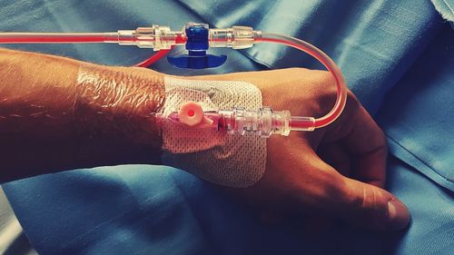Close-up of person holding hands