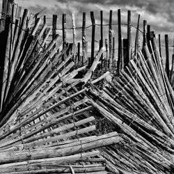 High angle view of wood on field