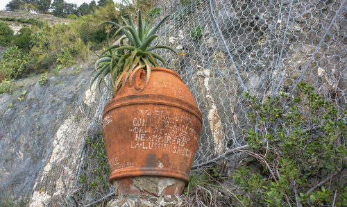 Close-up of rusty metal container against plants