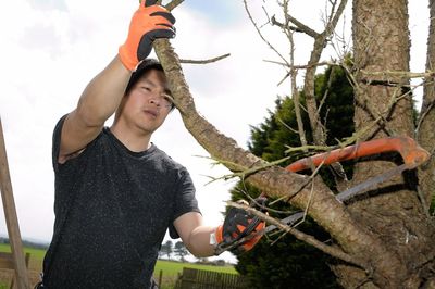 Low angle view of mid adult man cutting trees in forest