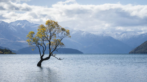 Scenic view of snowcapped mountains against sky